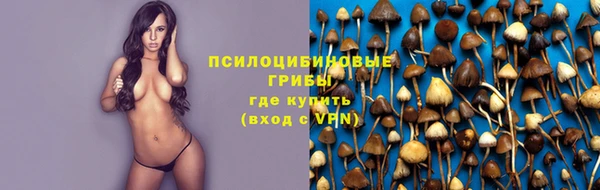 apvp Киренск