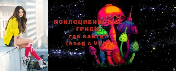 мет Кинешма