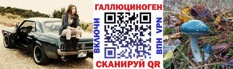 Купить  Карачев  Галлюциногенные грибы Magic Shrooms 
